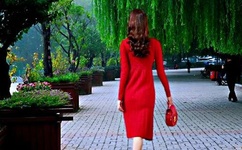 整篇都是车的男女主文推荐